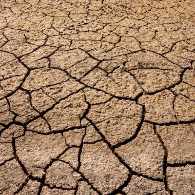 Namibya, Afrika 'daki Etosha Ulusal Parkı' nda kurumuş, çatlamış bir tuz tavasında..