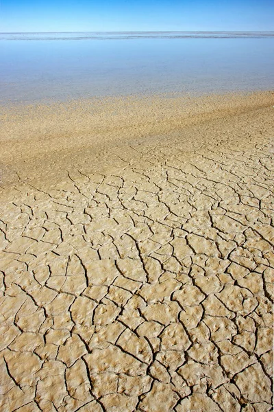 Trockene Rissige Erde Einer Ausgetrockneten Salzpfanne Etosha Nationalpark Namibia Afrika — Stockfoto