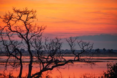 Kuzey Botswana, Afrika 'daki Chobe Ulusal Parkı' nda Chobe Nehri üzerinde gün batımı.