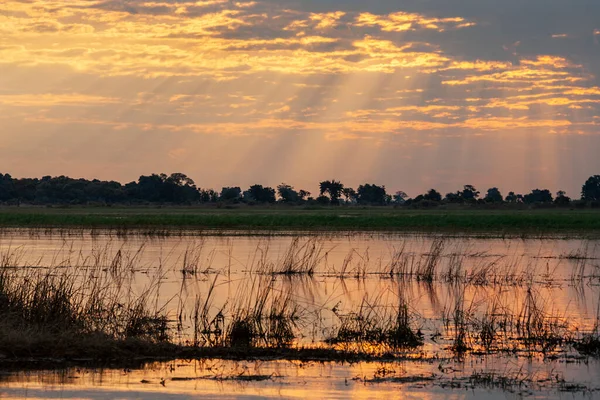 Rayons Solaires Sur Rivière Chobe Dans Parc National Chobe Dans — Photo