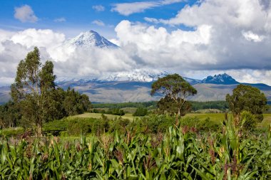 Cotopaxi Volcano in the Avenue of the Volcanos in the Andes Mountain Range in Ecuador, South America. Cotopaxi is the highest active volcano in the world at 5869m (19142ft). clipart