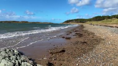 Newborough Warren ve Llanddwyn Körfezi 'ndeki sahil. Kuzey Galler' in Gwynedd adasındaki Anglesey Adası 'nda..