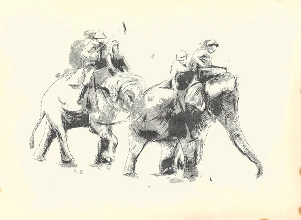 Polo Éléphant Une Illustration Dessinée Main Dessin Main Levée Peinture — Image vectorielle