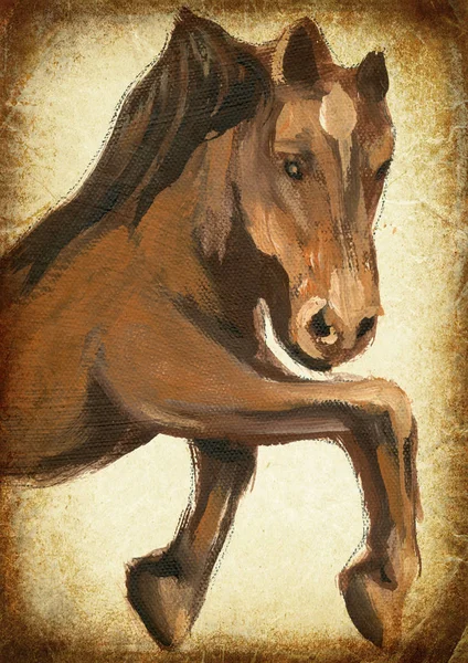 Paard. Schilderij van de hand. Vintage verwerking. — Stockfoto