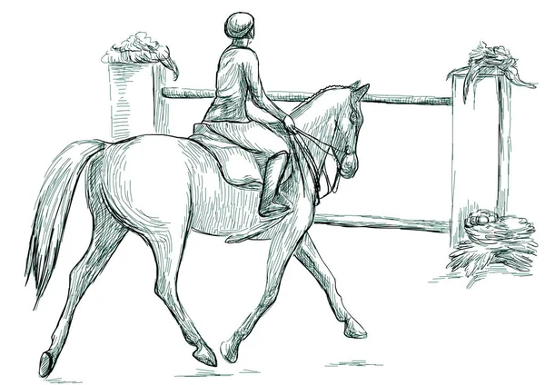 Show Jumping, hand drawn illustration. Line art technique on whi — Stock Photo, Image