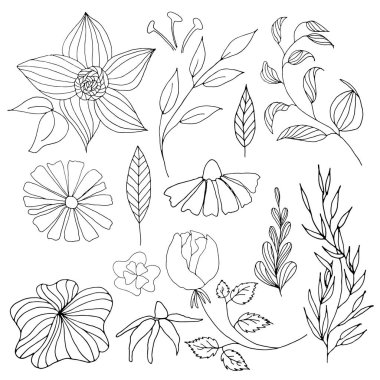 El çekilmiş vintage çiçek ve yaprakları. Vektör botanik çiçek set. Boyama kitabı