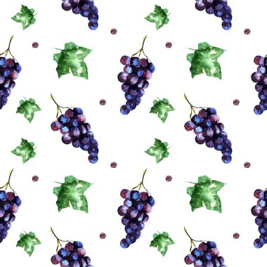 Üzüm ve yaprakları ile sulu boya Dikişsiz desen. Beyaz bir arka plan üzerinde üzüm. Suluboya resim.