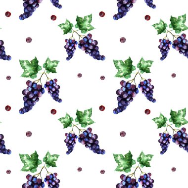 Üzüm ve yaprakları ile sulu boya Dikişsiz desen. Beyaz bir arka plan üzerinde üzüm. Suluboya resim.