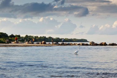 Kumlu plaj, Baltık Denizi ve çevresinde, Lapmezciems, Riga Körfezi, Letonya kuşlar ile eski dalgakıran Mesajlar görünümü