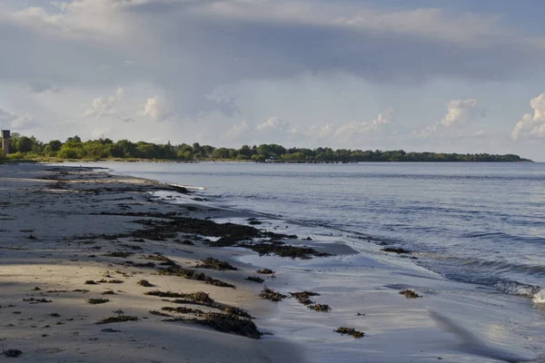 Вид Песчаный Пляж Балтийское Море Старые Волнорезы Птицами Вокруг Межигорье — стоковое фото