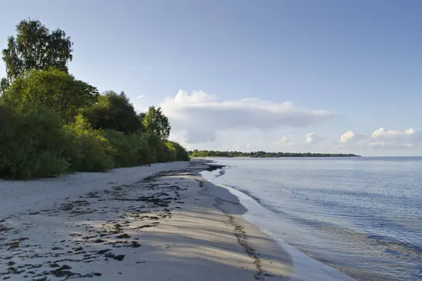 Pohled Písečnou Pláž Baltské Moře Staré Vlnolam Příspěvky Ptáky Okolí — Stock fotografie
