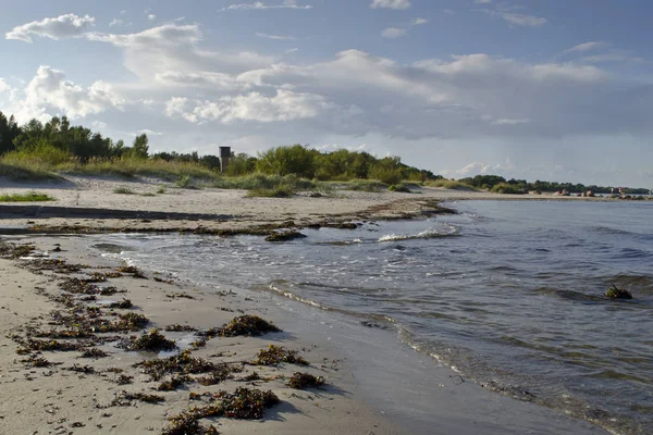 Вид Песчаный Пляж Балтийское Море Старые Волнорезы Птицами Вокруг Межигорье — стоковое фото