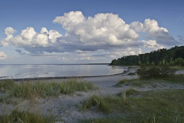 View Sandy Beach Baltic Sea Old Breakwater Posts Birds Lapmezciems — Stock Photo, Image