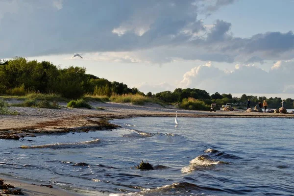 View Sandy Beach Baltic Sea Old Breakwater Posts Birds Lapmezciems — Stock Photo, Image