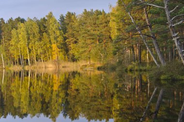Kemeri Milli Parkı, Letonya ağaçların yansıması ile orman Gölü (melnezers)