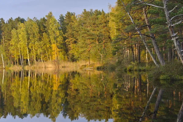 Kemeri Milli Parkı, Letonya ağaçların yansıması ile orman Gölü (melnezers)