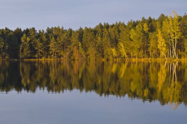 Kemeri Milli Parkı, Letonya ağaçların yansıması ile orman Gölü (melnezers)