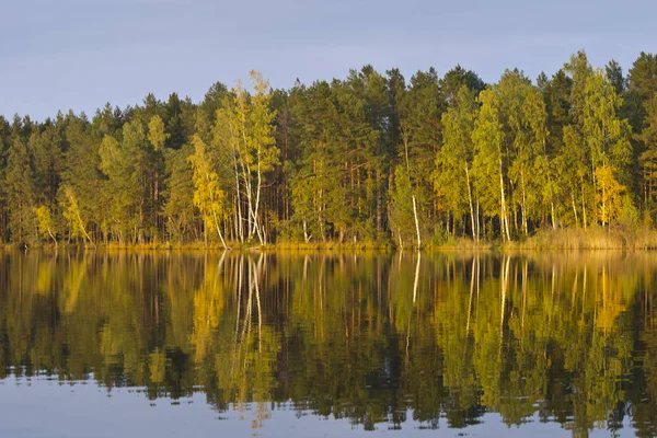 Forest Lake Melnezers Reflection Trees Kemeri National Park Latvia — Stock Photo, Image