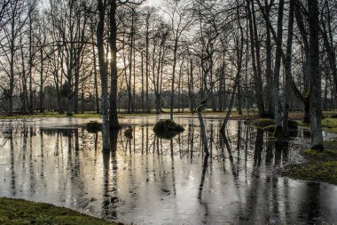 Kemeri Peyzaj Park Aralık, Letonya