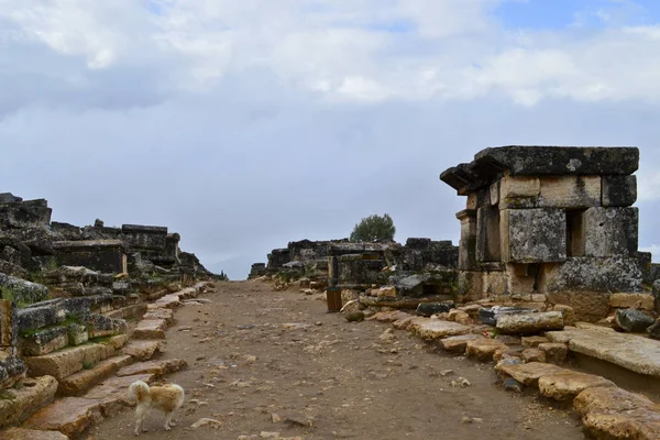 古代ローマ時代のネクロポリスの主要道路都市ヒエラポリス パムッカレ トルコの温泉にあります — ストック写真