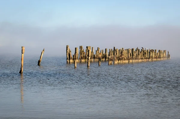 Uma Vista Velhos Postes Quebra Mar Outono Baía Riga Bigunciems — Fotografia de Stock