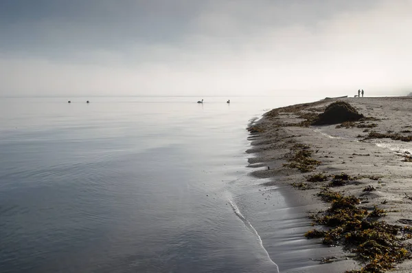 Uma Vista Uma Praia Dia Nebuloso Autumn Latvia Jurmala — Fotografia de Stock