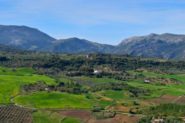 Andalusia manzara, Vadisi, kırsal yol ve rock Ronda, İspanya panoramioc görünümünü