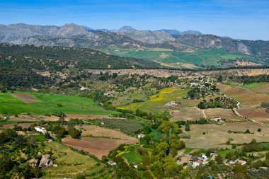 Andalusia manzara, Vadisi, kırsal yol ve rock Ronda, İspanya panoramioc görünümünü