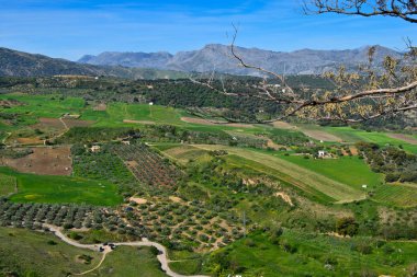 Andalusia manzara, Vadisi, kırsal yol ve rock Ronda, İspanya panoramioc görünümünü