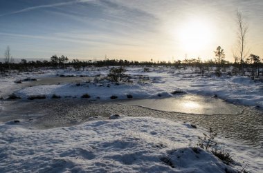 Harika Kemeri bataklık Boardwalk Aralık, Kemeri Milli Parkı, Letonya