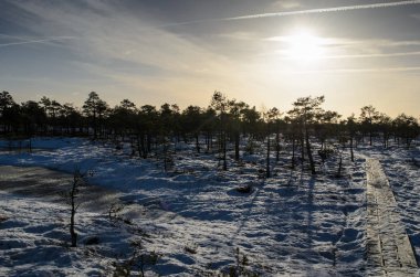 Harika Kemeri bataklık Boardwalk Aralık, Kemeri Milli Parkı, Letonya