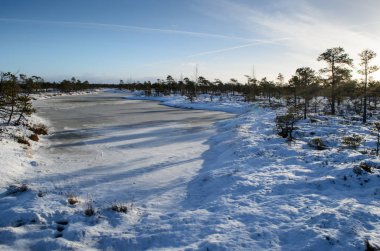 Harika Kemeri bataklık Boardwalk Aralık, Kemeri Milli Parkı, Letonya