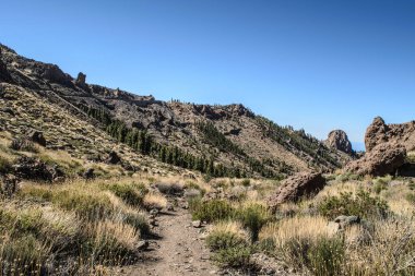 Teide Milli Parkı ethnogrraphical museum yakınındaki kayalık Peyzaj doğal bir görünüm