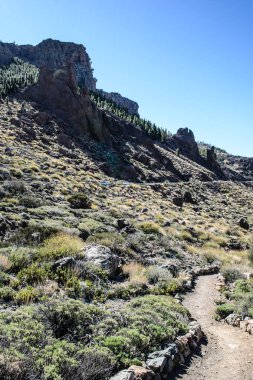 Teide Milli Parkı ethnogrraphical museum yakınındaki kayalık Peyzaj doğal bir görünüm