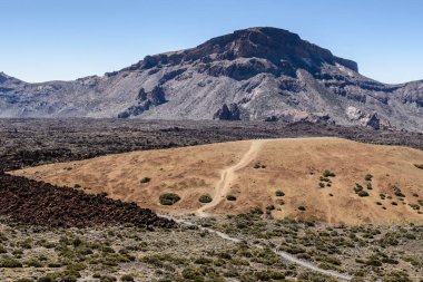 Teide Milli Parkı Montana Blanca araba park yakınındaki kayalık Peyzaj doğal bir görünüm
