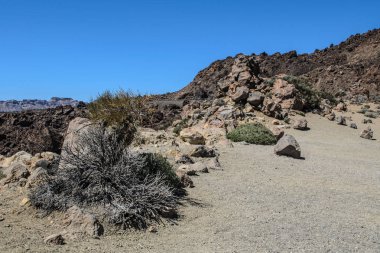 Teide Milli Parkı Montana Blanca araba park yakınındaki kayalık Peyzaj doğal bir görünüm