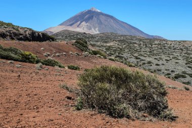 Doğal bir görünüm kayalık peyzaj ve mount Teide Teide Milli Parkı içinde