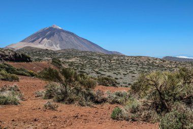 Doğal bir görünüm kayalık peyzaj ve mount Teide Teide Milli Parkı içinde