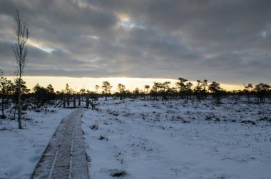 Harika Kemeri bataklık Boardwalk kışın, Kemeri Milli Parkı, Letonya