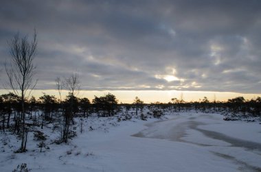 Harika Kemeri bataklık Boardwalk kışın, Kemeri Milli Parkı, Letonya