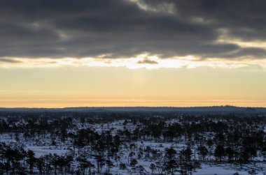 Harika Kemeri bataklık Boardwalk kışın, Kemeri Milli Parkı, Letonya