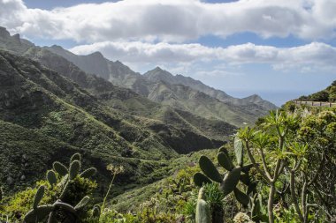 Anaga kırsal park, Tenerife kayalık Peyzaj doğal bir görünüm