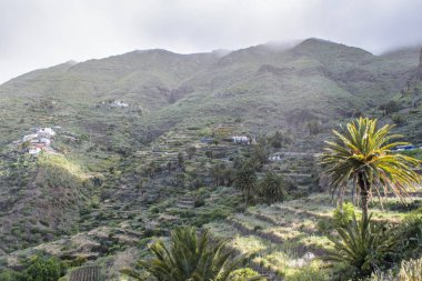 Görünüm Masca Köyü ada Tenerife, Kanarya Adaları, İspanya