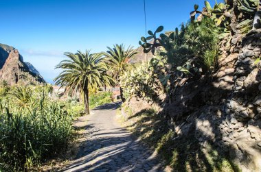 Görünüm Masca Köyü ada Tenerife, Kanarya Adaları, İspanya