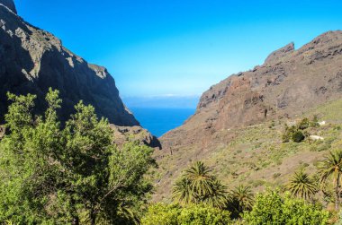 Görünüm Masca Köyü ada Tenerife, Kanarya Adaları, İspanya