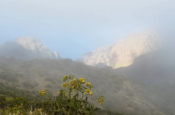 Uma Vista Das Montanhas Perto Aldeia Masca Tenerife Ilhas Canárias — Fotografia de Stock