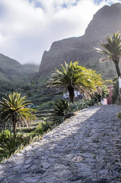 テネリフェ島 カナリア諸島 スペインで Masca 村の風景 — ストック写真
