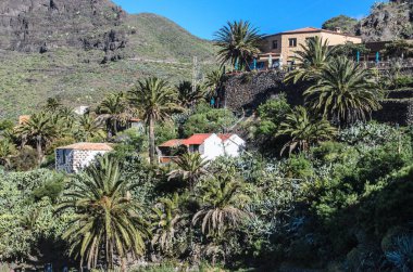 Görünüm Masca Köyü ada Tenerife, Kanarya Adaları, İspanya