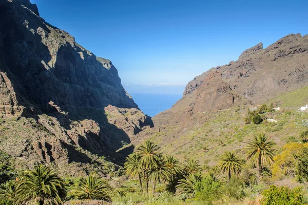 Görünüm Masca Köyü ada Tenerife, Kanarya Adaları, İspanya