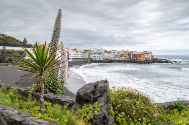 Playa jardin, Puertodela Cruz, Tenerife, Kanarya Adaları, İspanya